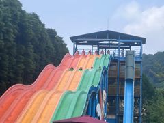 -重庆海昌加勒比海水世界