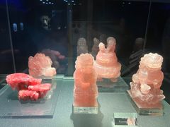 -中国地质博物馆