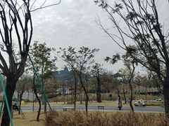 -王借岗森林公园