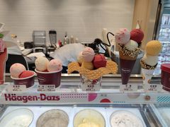 -哈根达斯(国瑞店)