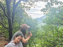 -天目山大树王景区