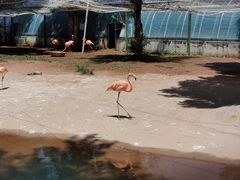 -鄂尔多斯野生动物园