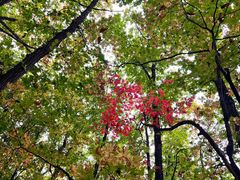 -五女峰国家森林公园