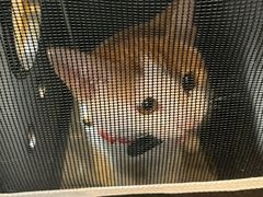 -姜家味锅贴小海鲜