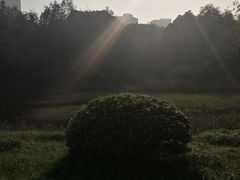 -重庆彩云湖湿地公园