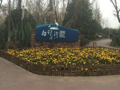 -白鹭湾湿地公园