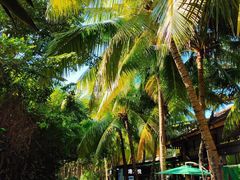 -海南分界洲岛旅游区