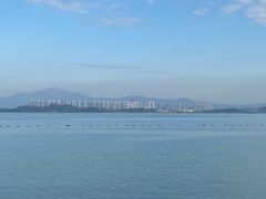 -深圳湾公园(南山区)