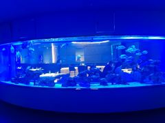 -上和臻品中国菜(花园街店)