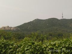 -府君山公园
