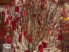 -惠州康帝国际酒店