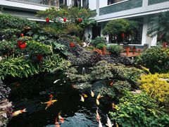 -聚福宝合苑食府(南头镇店)