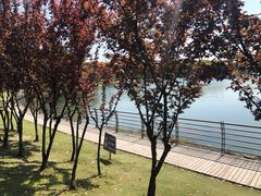 -美兰湖景区