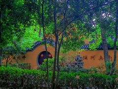 -灵谷景区