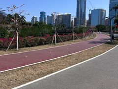 -万绿园