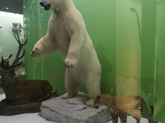 -国家自然博物馆