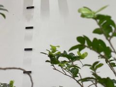 -Gee Coffee Roasters (万象城店)