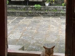 -老街坊餐吧