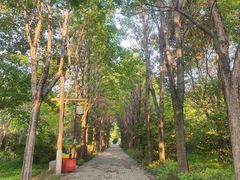 -洛阳市隋唐城遗址植物园