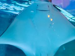 -沈阳海洋探索中心