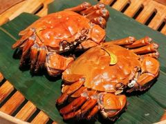 -成隆行·蟹王府(淮海店)