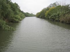 -溱湖国家湿地公园