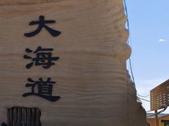 -哈密雅丹大海道景区