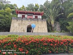 -深圳国际园林花卉博览园