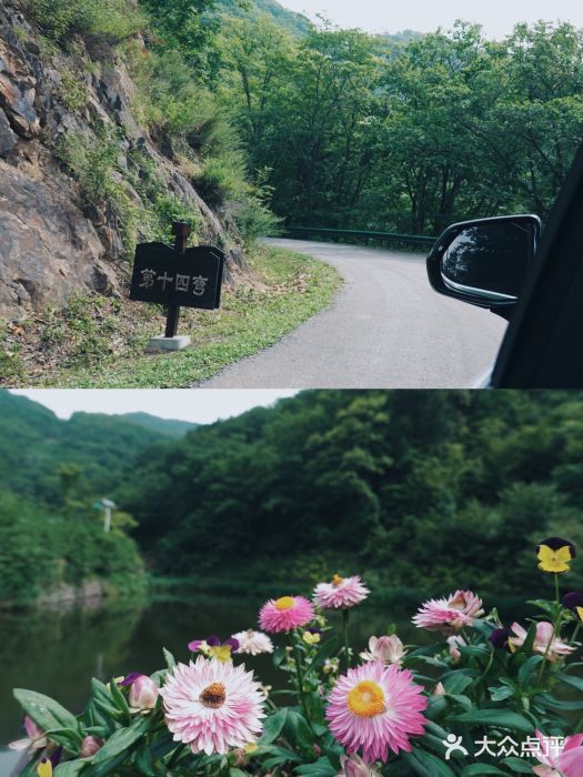 天女山森林公园图片