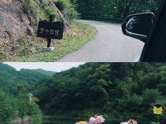 -天女山森林公园