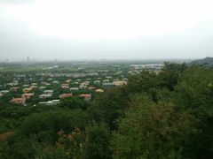 -上海佘山国家森林公园西佘山园