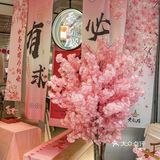 武汉春天，真的非来不可