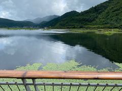-腾冲北海湿地