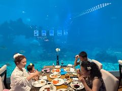 -海棠湾洲际-涛·海底餐厅·美人鱼·自助餐·海底隧道