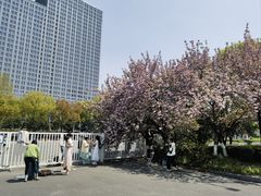 -南京奥林匹克体育中心