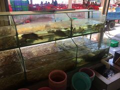 水产-胜记大排档·台山本地海鲜·台山黄鳝饭