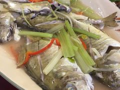 -抱德·潮汕味(敦和店原惠城鱼仔)
