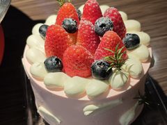 -麦尔乐动物奶油生日蛋糕(新华店)