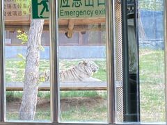 -太原动物园