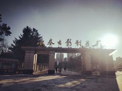 -长影旧址博物馆