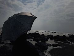 -硇洲岛旅游区
