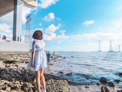 -宝安西湾红树林湿地公园