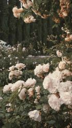 -米莱摄影写真(五大道别墅店)