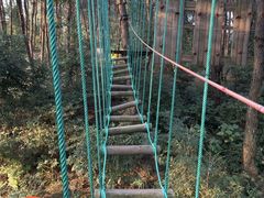 -芦仙山景区-飞越丛林探险乐园