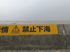-南汇嘴观海公园