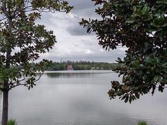 -顾村公园