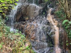 -南丹山森林王国