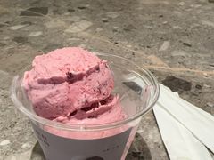 粒粒·杨梅-阿嬷手作(成都万象城店)