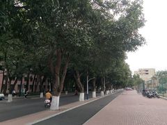 -广西大学(大学东路校区)