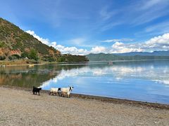 -丽江泸沽湖景区